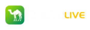 Camel TV